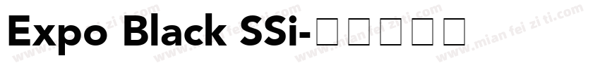 Expo Black SSi字体转换